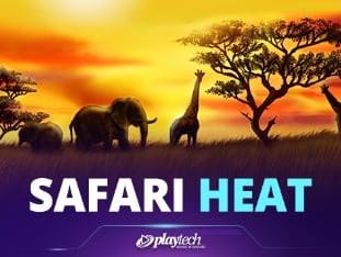 Safari Heat thumbnail